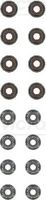 Seal Set, valve stem