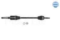 1 Artikelbild