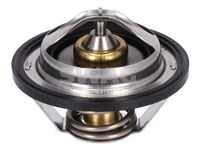 термостат, охладителна течност