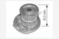 Pompă de apă, răcire motor HUTCHINSON, Cod: WP0020V