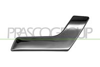 Mâner usa, echipare interioara PRASCO, Cod: ME0438807