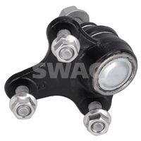 Article Picture