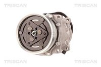 Compresor, climatizare TRISCAN, Cod: 9020 28038