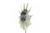 Thumbnail - Koelventilatorwiel - CFF460000P - MAHLE