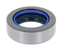 Wellendichtring, Differential
