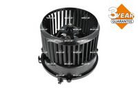 Article Picture