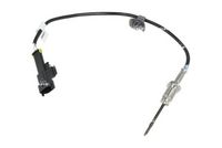 Sensor, Abgastemperatur
