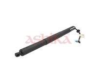 Motor electric, haion ASHIKA, Cod: ZA-0117