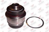 тампон, носач