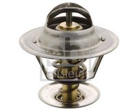 Thermostat, Kühlmittel