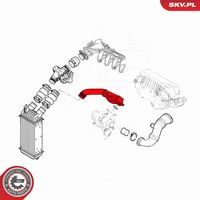 Article Picture