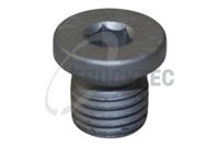 Surub de golire,baia de ulei TRUCKTEC AUTOMOTIVE, Cod: 08.10.010