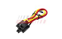 Stecker