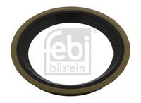 Seal Ring, steering knuckle