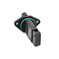 DELPHI Luchtmassameter 7