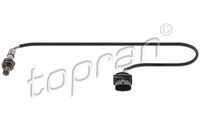 ламбда-сонда