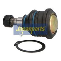 Article Picture