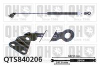 Gasfeder, Koffer-/Laderaum