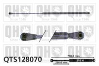 Gasfeder, Koffer-/Laderaum