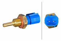 Sensor, Kühlmitteltemperatur