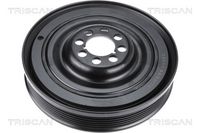 Fulie curea, arbore cotit TRISCAN, Cod: 8900 29575