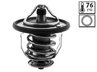 Thermostat, Kühlmittel