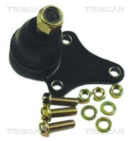 Trag-/Führungsgelenk