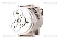 Compresor, climatizare TRISCAN, Cod: 9020 27004