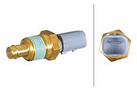 Sensor, Kühlmitteltemperatur