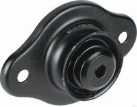 Federbeinstützlager