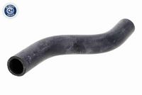 Hoses/Pipes/Flanges