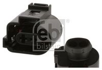 Stecker