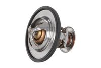 Thermostat, Kühlmittel