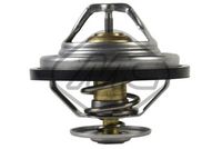 термостат, охладителна течност