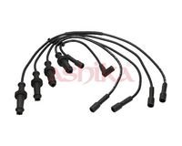 Set cablaj aprinder ASHIKA, Cod: 132-00-0602