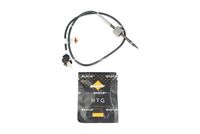 Sensor, Abgastemperatur