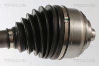 Article Picture