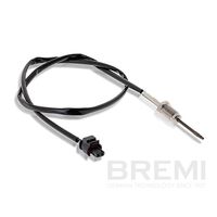 Sensor, Abgastemperatur