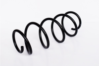Arc spiral ASAM AUTOMOTIVE, Cod: 73814
