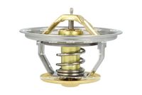 Thermostat, Kühlmittel