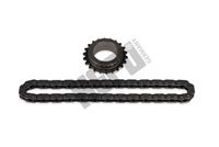 Set lant, antrenare pompa ulei HEPU, Cod: 21-0712