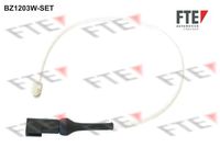 Warnkontakt, Bremsbelagverschleiß