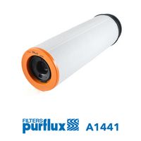 Filtru aer secundar PURFLUX, Cod: A1441
