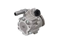 Hydraulikpumpe, Lenkung Hydraulikpumpe, Lenkung