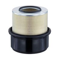 Filtru aer MANN-FILTER, Cod: C 33 1305