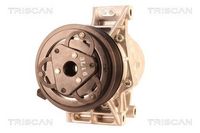 Compresor, climatizare TRISCAN, Cod: 9020 14007