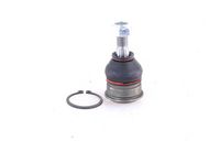 Trag-/Führungsgelenk