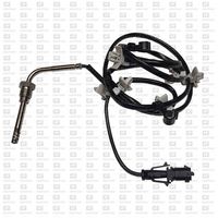 Sensor, Abgastemperatur