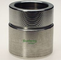 Kolben, Bremssattel