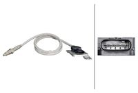 NOx-Sensor, Harnstoffeinspritzung